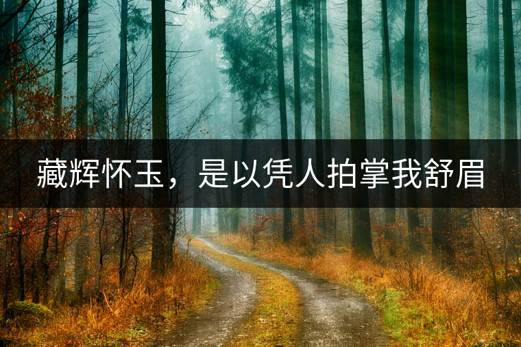 藏輝懷玉，是以憑人拍掌我舒眉