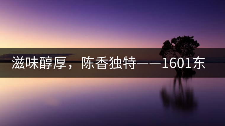 滋味醇厚，陳香獨特——1601東方美韻品鑒
