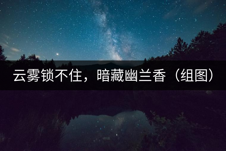云霧鎖不住，暗藏幽蘭香（組圖）