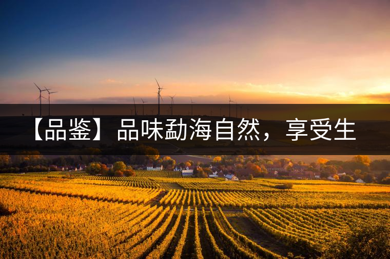 【品鑒】品味勐海自然，享受生活醇香