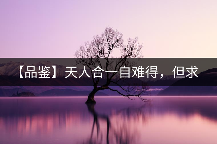 【品鑒】天人合一自難得，但求得茶之本味