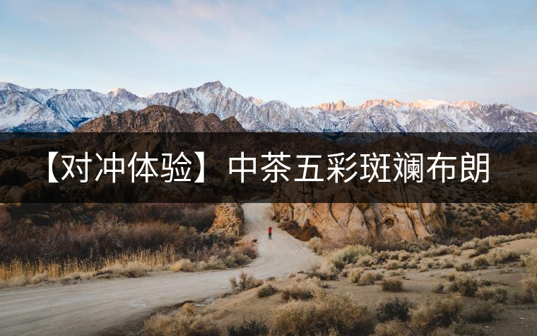 【對沖體驗】中茶五彩斑斕布朗VS壩糯：大山小寨一言不合就斗茶