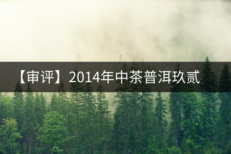 【審評】2014年中茶普洱玖貳方磚 【審評】2014年中茶普洱玖貳方磚