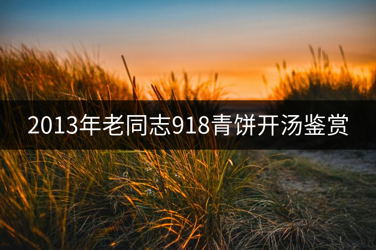 2013年老同志918青餅開湯鑒賞 2013年老同志918青餅開湯鑒賞