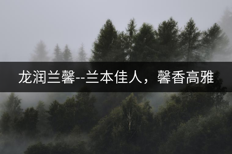 龍潤(rùn)蘭馨--蘭本佳人，馨香高雅