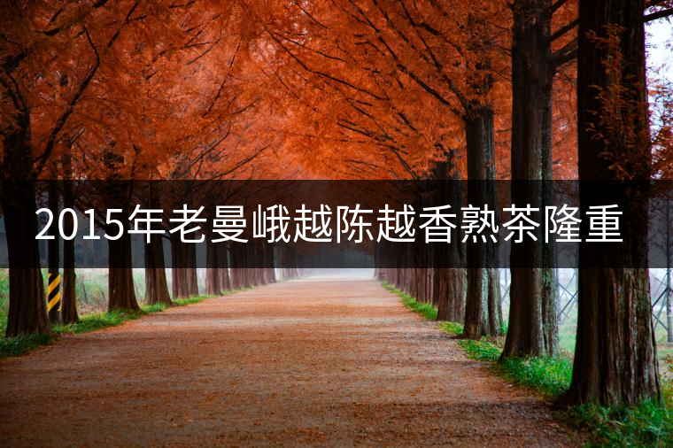 2015年老曼峨越陳越香熟茶隆重上市！