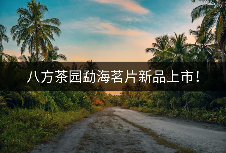 八方茶園勐海茗片新品上市！