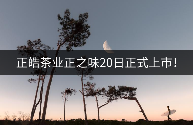 正皓茶業(yè)正之味20日正式上市！