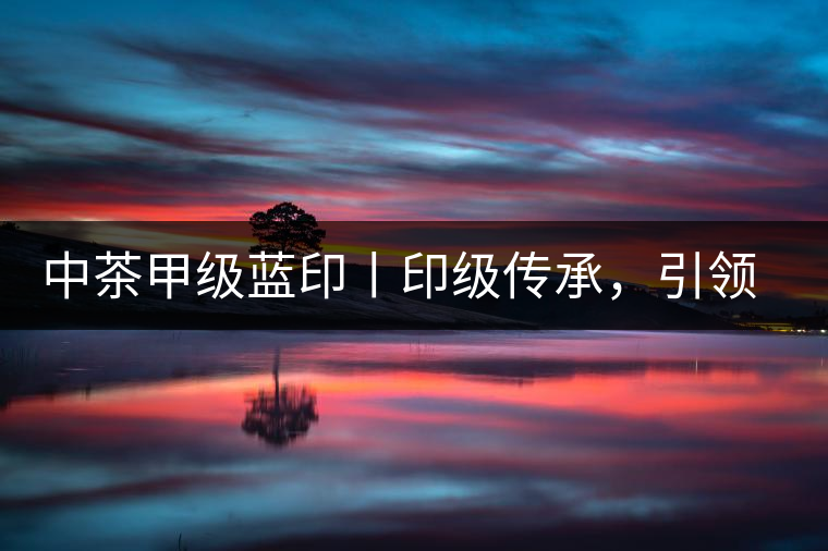 中茶甲級(jí)藍(lán)印丨印級(jí)傳承，引領(lǐng)風(fēng)韻