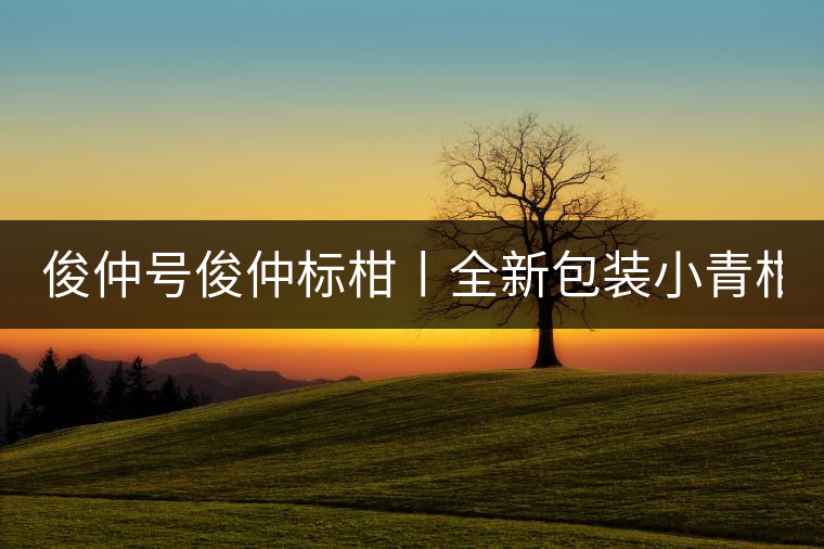 俊仲號(hào)俊仲標(biāo)柑丨全新包裝小青柑震撼上市！