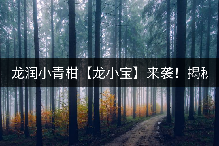 龍潤小青柑【龍小寶】來襲！揭秘它的前半生！