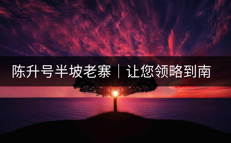 陳升號半坡老寨｜讓您領(lǐng)略到南糯山大樹茶口感的地道！