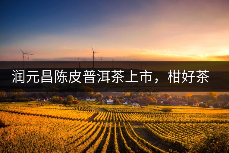 潤元昌陳皮普洱茶上市，柑好茶更好，精品普洱茶