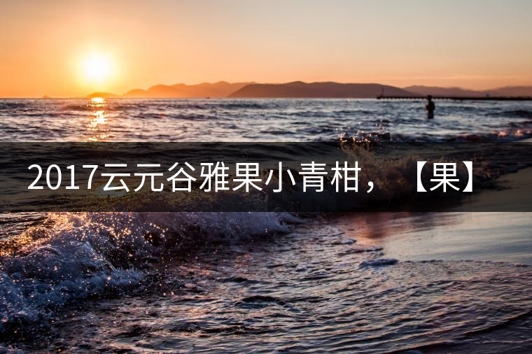 2017云元谷雅果小青柑，【果】真來了