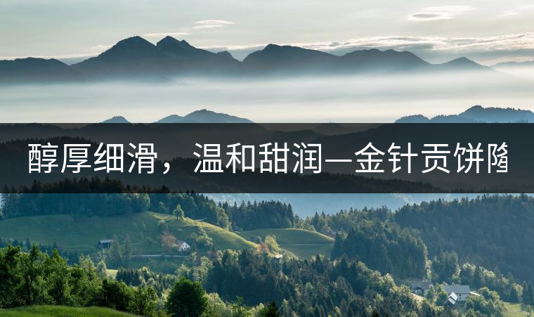 醇厚細(xì)滑，溫和甜潤—金針貢餅隆重上市！