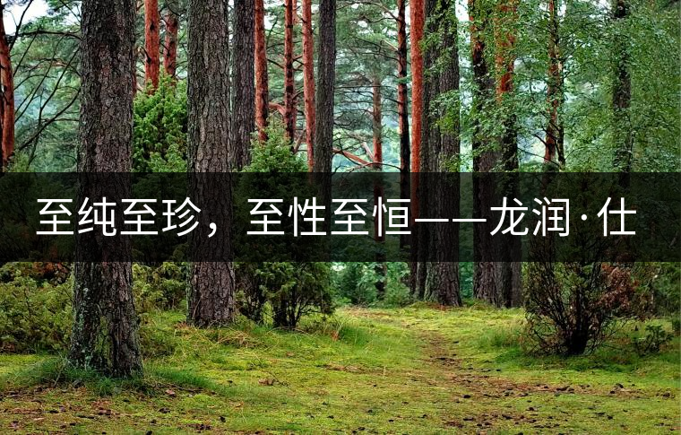 至純至珍，至性至恒——龍潤·仕通茶新上市！