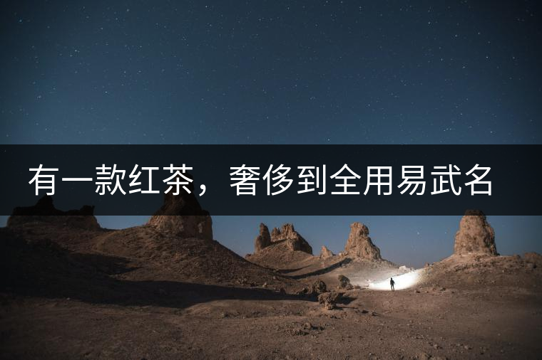 有一款紅茶，奢侈到全用易武名寨古樹茶發(fā)酵！