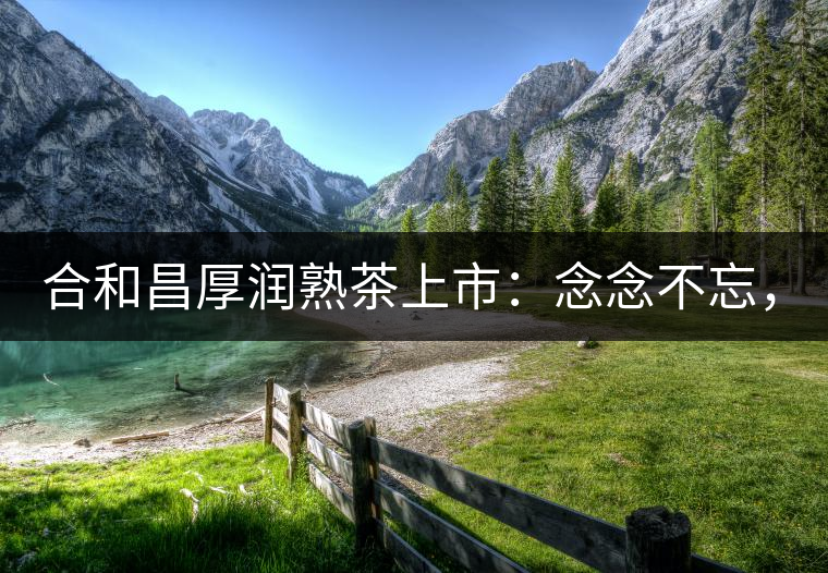 合和昌厚潤熟茶上市：念念不忘，必有回響！