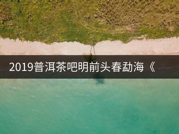 2019普洱茶吧明前頭春勐海《月光白》白茶優(yōu)惠訂購