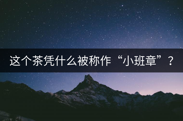 這個茶憑什么被稱作“小班章”？