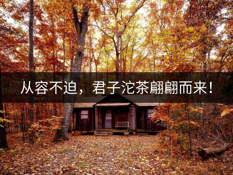 從容不迫，君子沱茶翩翩而來！