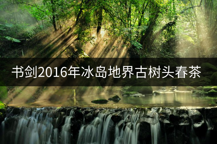 書劍2016年冰島地界古樹頭春茶隆重上市！