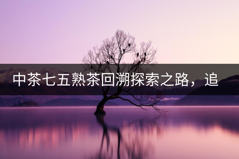 中茶七五熟茶回溯探索之路，追尋歷史印跡