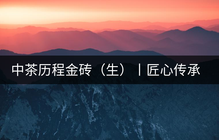 中茶歷程金磚（生）丨匠心傳承，精品迭出