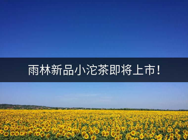 雨林新品小沱茶即將上市！