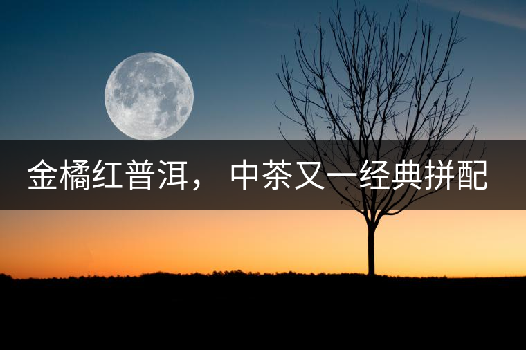金橘紅普洱， 中茶又一經(jīng)典拼配力作，值得期待！