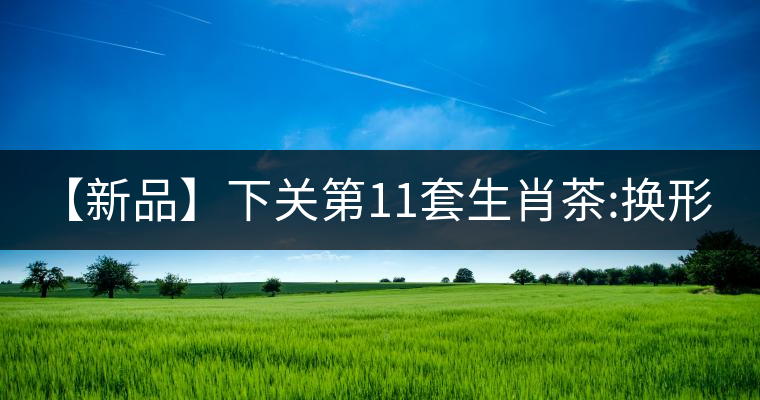 【新品】下關第11套生肖茶:換形 提質(zhì) 減量