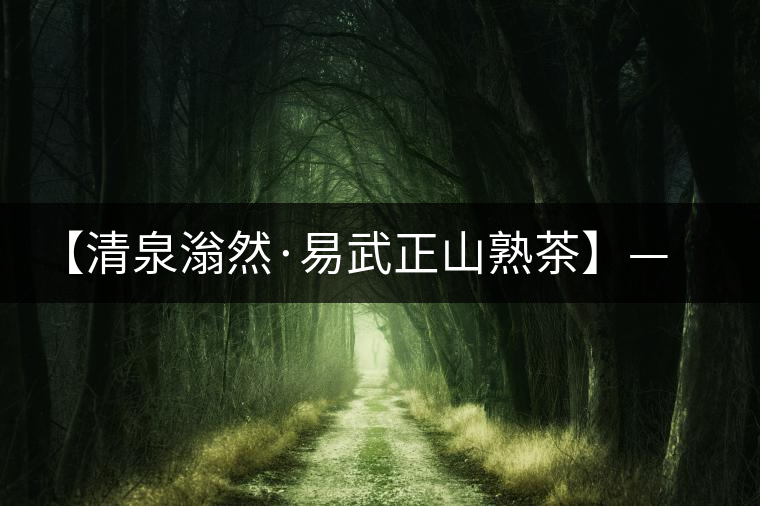 【清泉滃然·易武正山熟茶】——熨帖冬季的寒冷，來的正是時候！