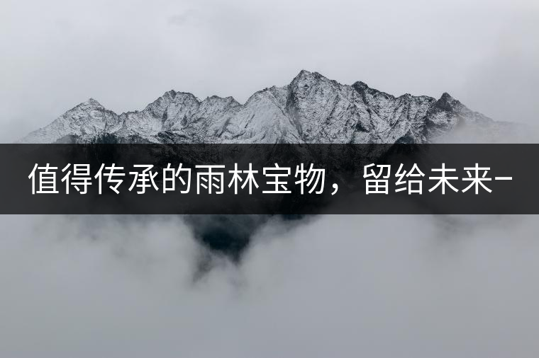 值得傳承的雨林寶物，留給未來一點(diǎn)“回甘”！
