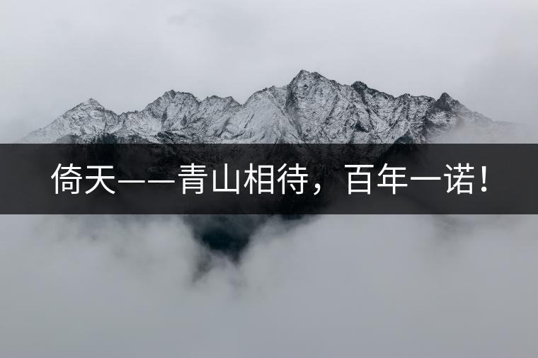 倚天——青山相待，百年一諾！