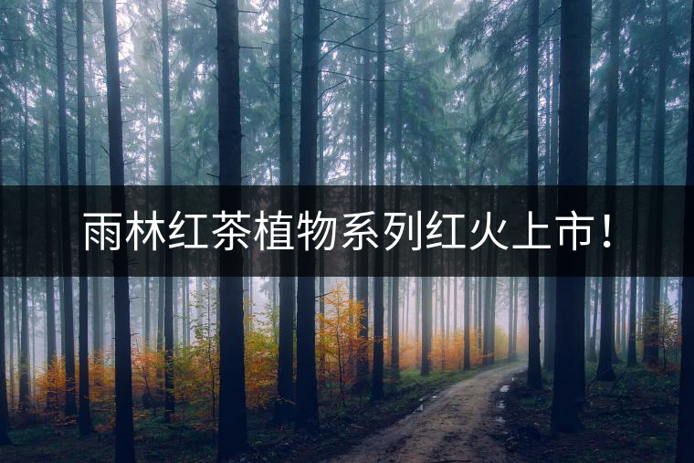雨林紅茶植物系列紅火上市！