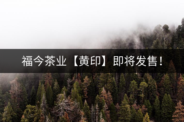 福今茶業(yè)【黃印】即將發(fā)售！