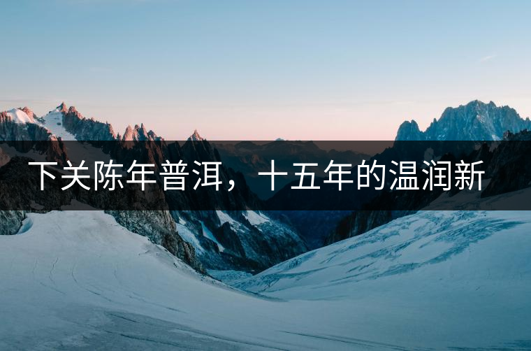 下關(guān)陳年普洱，十五年的溫潤新生