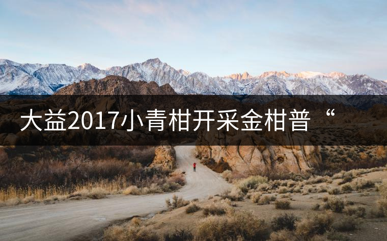 大益2017小青柑開采金柑普“益桶江山”震撼上市