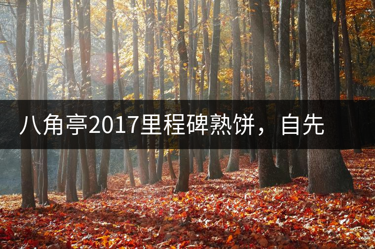 八角亭2017里程碑熟餅，自先發(fā)酵而后愛人