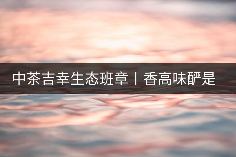 中茶吉幸生態(tài)班章丨香高味釅是王者，且品且珍惜