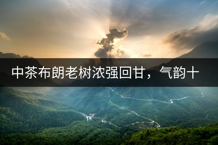 中茶布朗老樹濃強(qiáng)回甘，氣韻十足