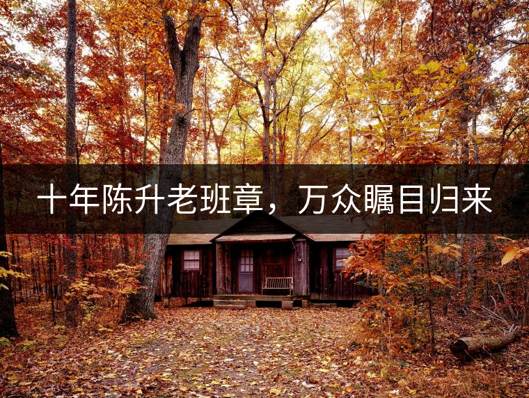 十年陳升老班章，萬眾矚目歸來