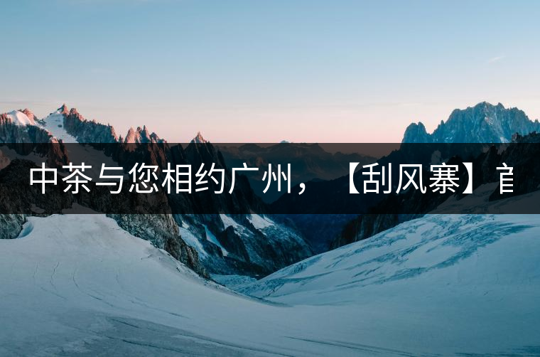 中茶與您相約廣州，【刮風(fēng)寨】首次亮相！