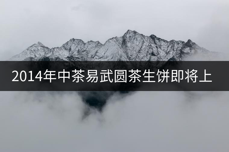 2014年中茶易武圓茶生餅即將上市