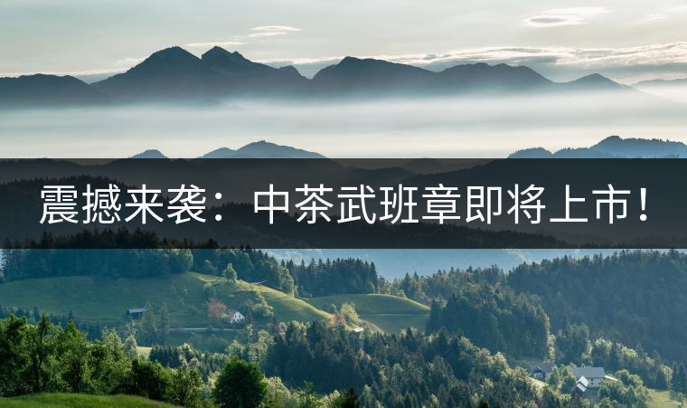 震撼來襲：中茶武班章即將上市！