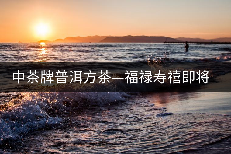 中茶牌普洱方茶—福祿壽禧即將上市