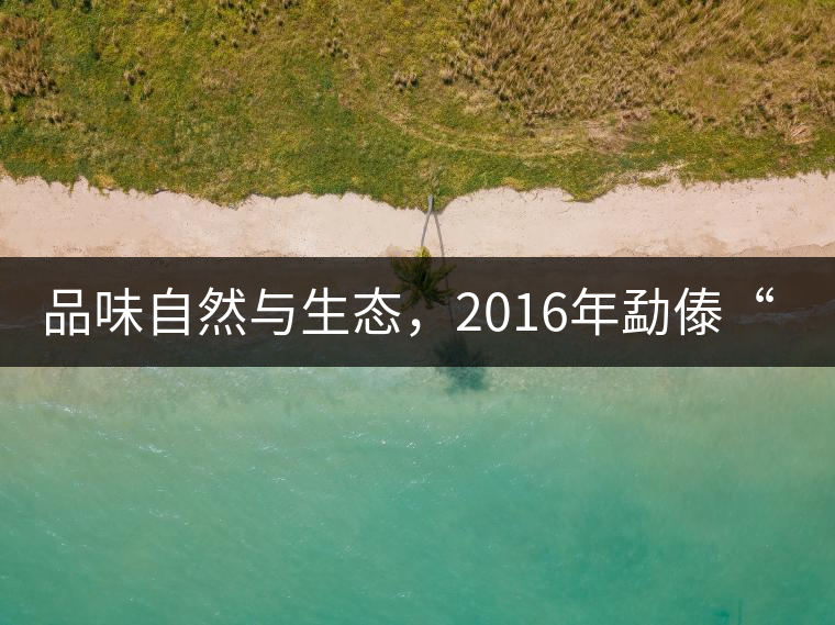 品味自然與生態(tài)，2016年勐傣“大雪山古樹(shù)茶”