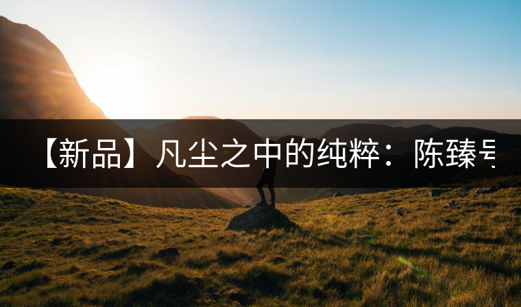 【新品】凡塵之中的純粹：陳臻號2016年精品青餅即將上市！