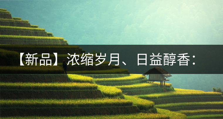 【新品】濃縮歲月、日益醇香：陳臻號陳品熟餅即將上市！