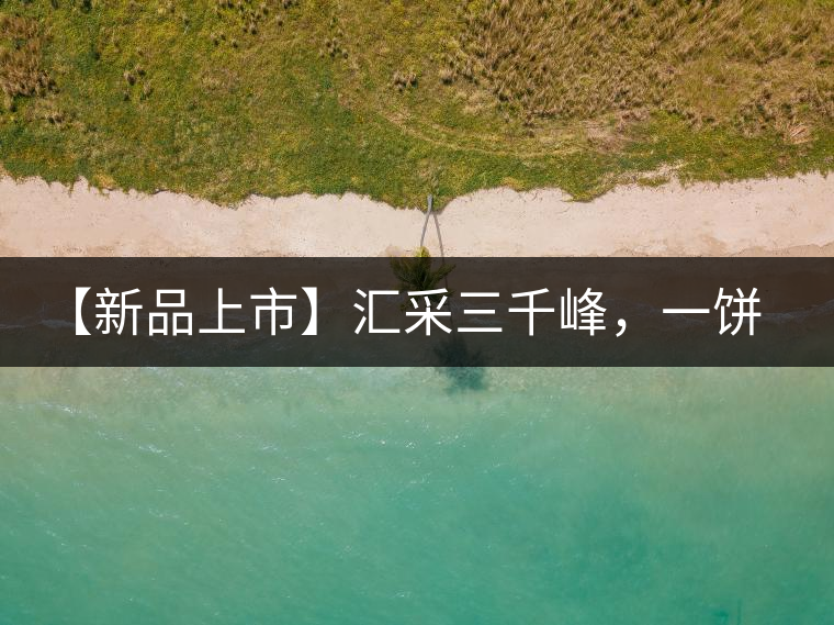 【新品上市】匯采三千峰，一餅群山鑄——群峰之峻！